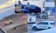 JetBlue Flight Forced to U-Turn After Striking Coyote on Takeoff from Rhode Island