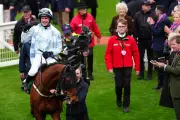 Kargese Stuns Cheltenham with Arkle Trophy Upset on Festival Opening Day