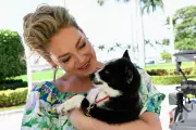 Katherine Heigl Emerges at Mar-a-Lago Fundraiser for Animal Rescue