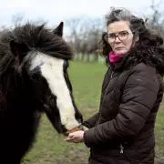 Kent Horse Owner Appeals for Help to Catch 'Monster' Who Sexually Violated Her Horse