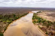 Kenya's Tana River Conservation Secures Nairobi's Water Supply and Boosts Farming