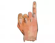 Kids' Quiz: Why is a Little Finger Called a Pinkie?