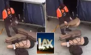 LAX Baggage Handler Caught Tossing Guitars in Viral TikTok Video