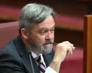 Liberal Senator Urges Mercy for Australian Children Held in Syrian Camp