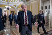 Lindsey Graham's Disney Trip Sparks Outrage Amid DHS Shutdown Crisis