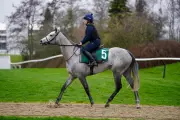 Lossiemouth and Fact To File Stir Cheltenham Festival with Surprising Declarations