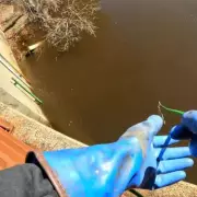 Magnet Fisher's River Discovery: Firearm Find Prompts Police Call