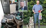 Man Banned from Keeping Animals After Wolves Found in Suburban Garden