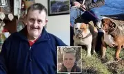 Man with Down's Syndrome Fatally Mauled by Niece's British Bulldogs at Home