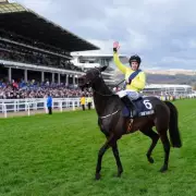 Marine Nationale Withdrawn from Cheltenham 2026 Champion Chase Due to Neck Injury