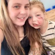 Mastiff-Great Dane Cross Ordered Destroyed After Mauling Four-Year-Old Girl