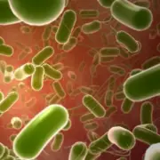 Meningitis Mutation Identified as Potential Driver of Deadly Kent Outbreak