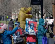 Millions March in 'No Kings' Protests Across US Against Trump Policies