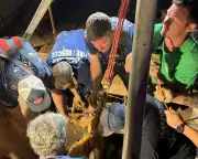 Missing Florida Man Found Alive After Dramatic Mud Rescue Operation