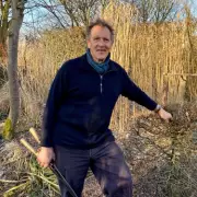 Monty Don's Top Daffodil Pick: The 'Most Reliable' Spring Bulb Revealed