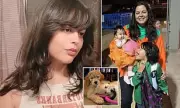 Mother Dies Saving Son from Vicious Dog Attack in California