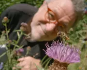 My Garden of a Thousand Bees: A Joyous Documentary on Urban Bee Life