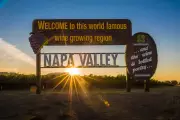 Napa Valley Wineries Navigate 'Shocking' Downturn with Innovation