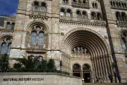 Natural History Museum Crowned UK's Top Attraction with Record 7.1 Million Visits
