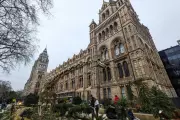 Natural History Museum Overtakes British Museum as UK's Top Attraction