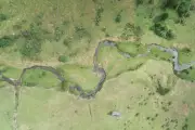 New Study Challenges Timeline of Earliest Human Settlement in the Americas