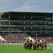 Newsboy's Cheltenham Festival Day One Guide: Expert Tips and 1-2-3 Predictions