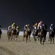 Newsboy's Friday Racing Tips: Sherlock and Forglen Lead Selections