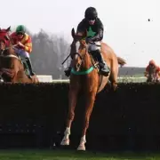Newsboy's Racing Picks: Enya Tipped as Nap at Catterick on Tuesday