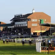 Newsboy's Thursday Racing Tips: Veteran Chaser and Nicholls Novice Highlighted
