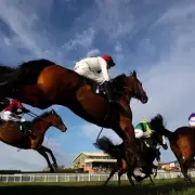Newsboy's Wednesday Racing Tips: Vol Royale Nap at Hereford and Daily Double