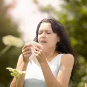 NHS GP Reveals Crucial Antihistamine Mistake for Hay Fever Season