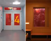 Norwegian Study Reveals How Light Colour Could Transform Mental Health Treatment