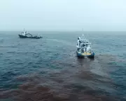 Ocean Alkalinity Enhancement Trial Shows Promise in Combating Climate Change