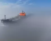 Oil Prices and Asian Shares Surge as IEA Announces Strategic Reserve Release