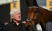 Owner's Unbreakable Bond with Bob Olinger Ahead of Cheltenham Festival