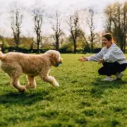 Pet Expert Warns: Clocks Changing Can Disrupt Animal Routines and Health
