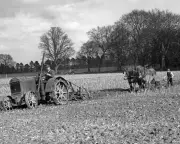 Ploughmen Prioritise Fields Over Competitions in 1951 Country Diary