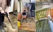 Power Washing Videos: The Soothing Social Media Trend That's Captivating Homeowners