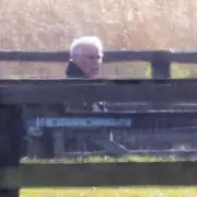 Prince Andrew Spotted Longingly at Horses After Reported Riding Ban