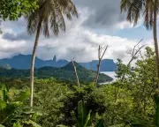 Príncipe Islanders to Receive Payments for Protecting Unique Ecosystem