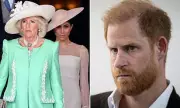 Queen Camilla Allegedly Said Meghan Markle 'Brainwashed' Prince Harry in New Book