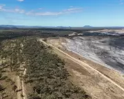 Queensland Approves Glencore's Hail Creek Mine Expansion, Threatening Koala Habitat