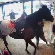 Racehorse Worth 375,000 Guineas Strolls into Newmarket Hotel Lobby
