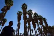 Record US Heatwave Threatens Water Supply and Wildfire Season