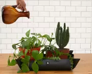 Repotting Mats: A Houseplant Hack Worth the Investment?