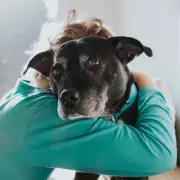 Rescue Dog's Heartbreaking Return After Eight Years Sparks Emotional Plea