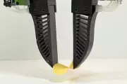 Robotic Hand FORTE Handles Delicate Items Like Crisps and Raspberries