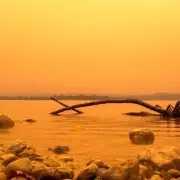 Saharan 'Blood Rain' Linked to 44% of Pollution Deaths in Europe, Expert Warns