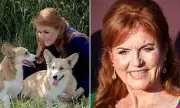 Sarah Ferguson's Secret TV Venture: Pitching Canine Talent Shows
