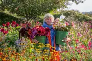 Sarah Raven's Top 5 Cut Flowers for a Vibrant Home Display